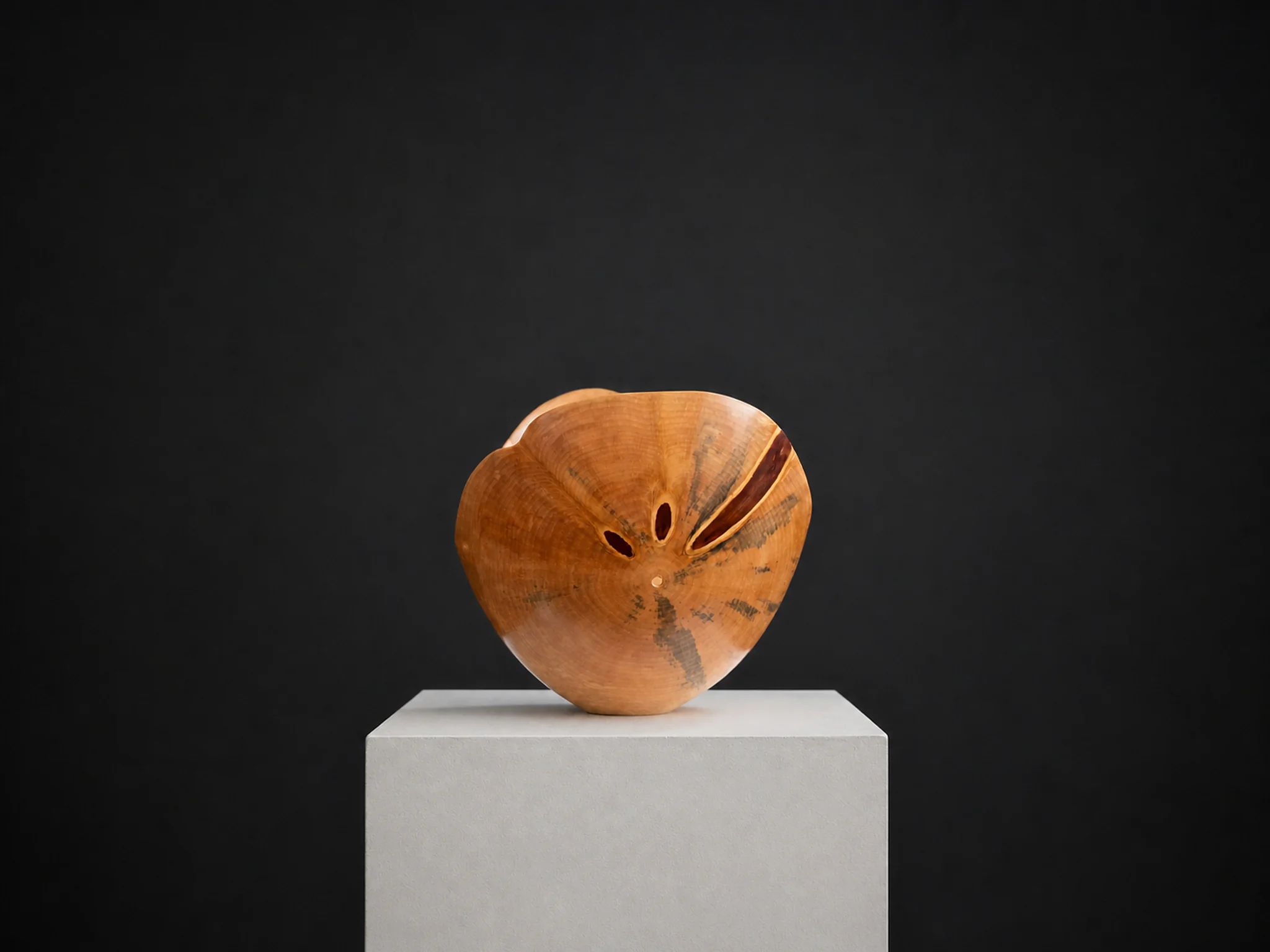 Thin-Turned Norfolk Pine Bowl, a one-of-one Norfolk Pine sculpture by Rodney Band, centred on a warm limestone plinth against a charcoal studio ground.