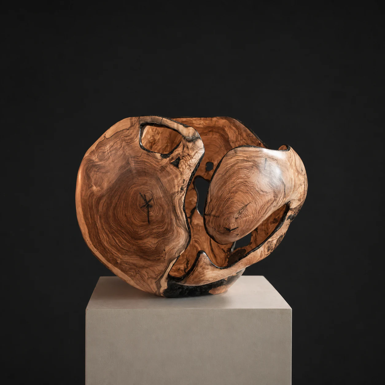 Tall Olive with African Blackwood Inlay, a one-of-one Wild Olive and African Blackwood sculpture by Rodney Band, centred on a warm limestone plinth against a charcoal studio ground.