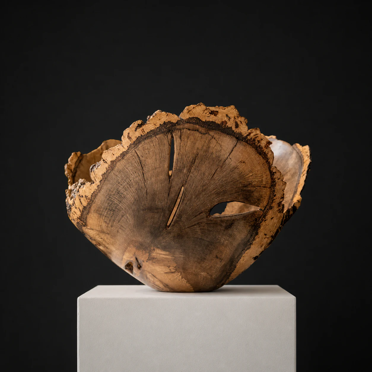 Cork Oak Thin-Turned Natural Edge, a one-of-one Cork Oak sculpture by Rodney Band, centred on a warm limestone plinth against a charcoal studio ground.