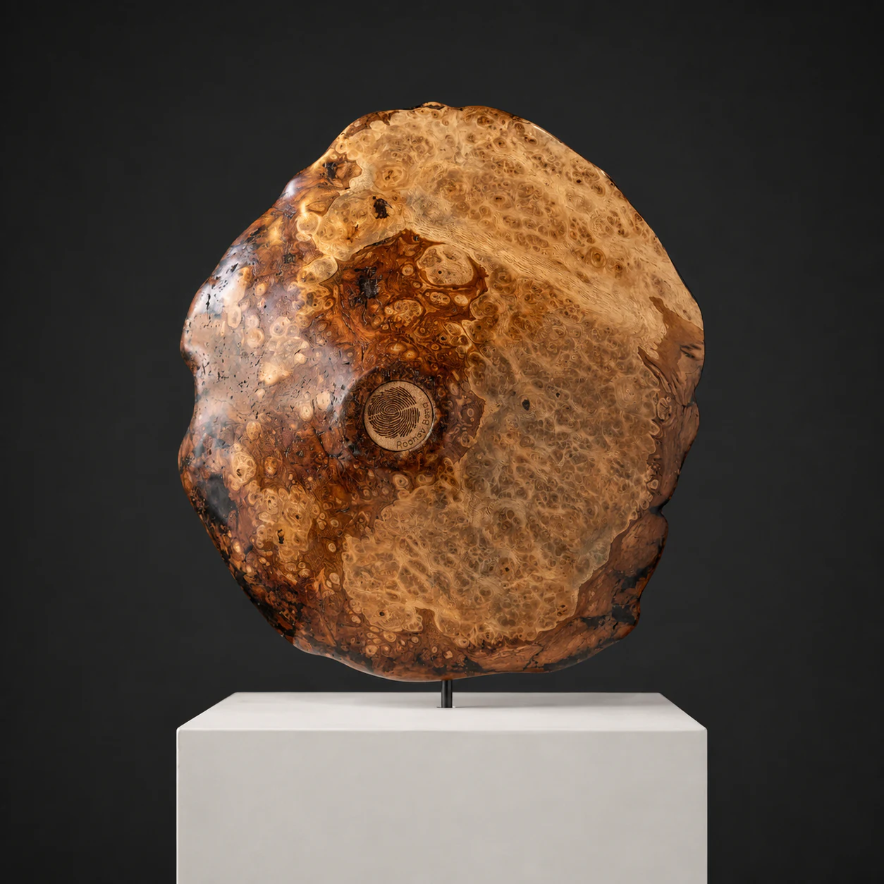 English Oak Burl Platter, a one-of-one English Oak Burl and Blackwood sculpture by Rodney Band, centred on a warm limestone plinth against a charcoal studio ground.
