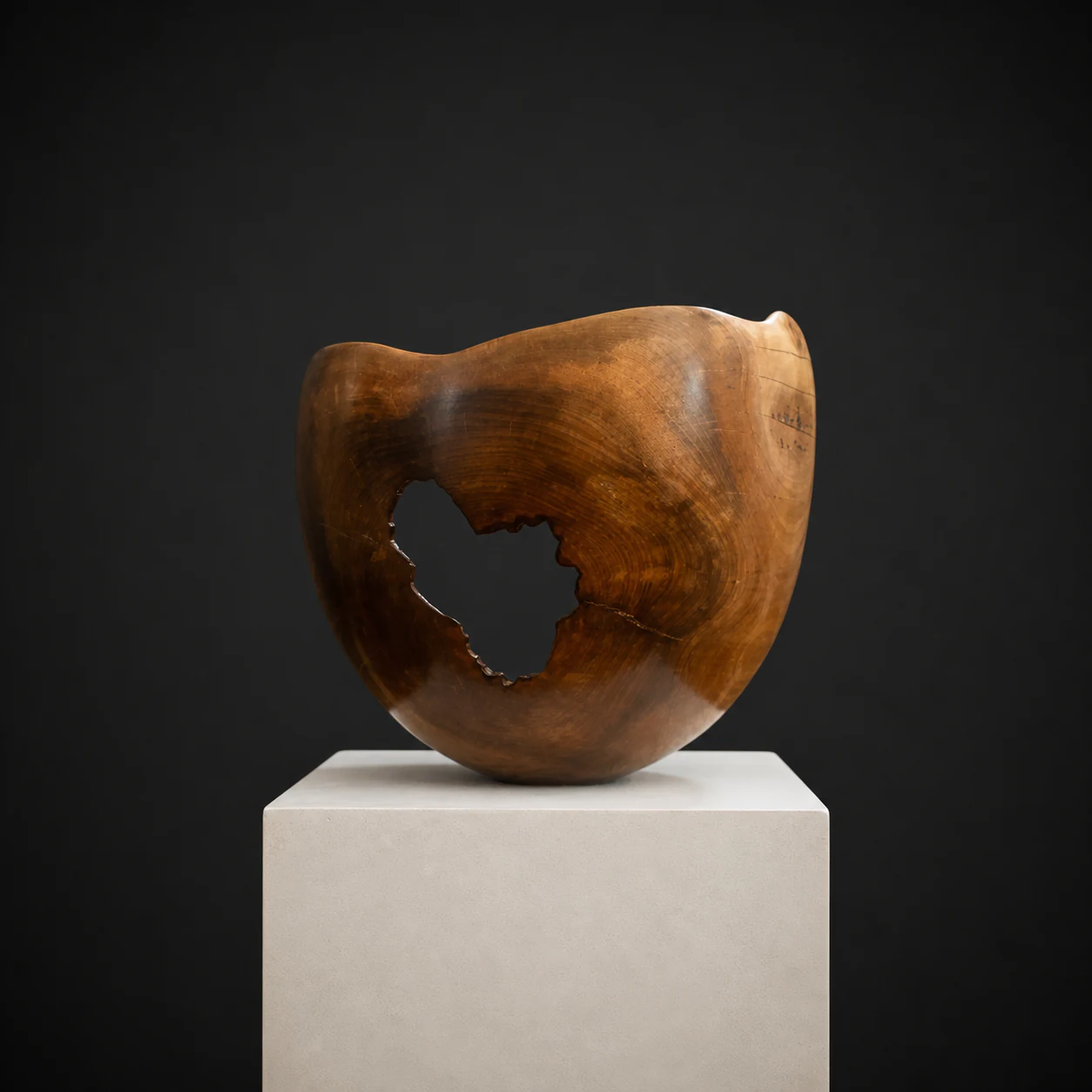 Large Natural-Edged Stinkwood Bowl, a one-of-one Stinkwood sculpture by Rodney Band, centred on a warm limestone plinth against a charcoal studio ground.