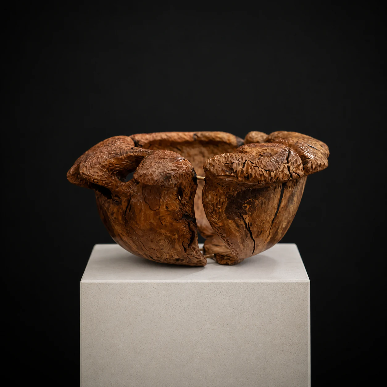 Large Wild Olive Root Bowl, a one-of-one Wild Olive sculpture by Rodney Band, centred on a warm limestone plinth against a charcoal studio ground.