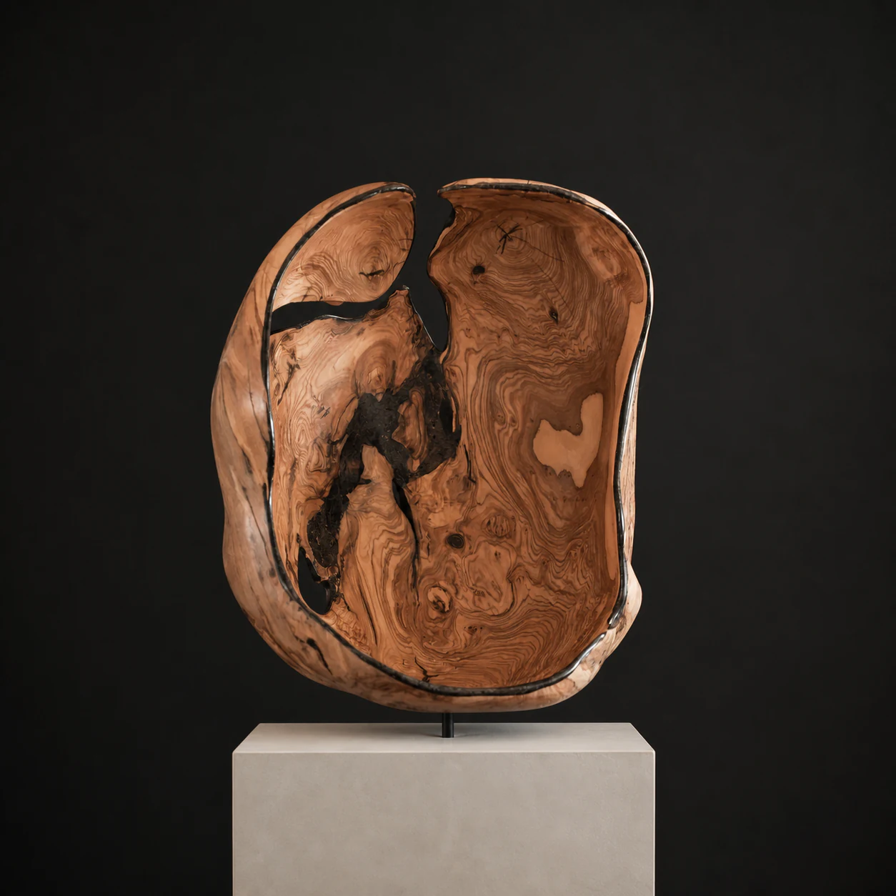 Long Olive, a one-of-one Wild Olive sculpture by Rodney Band, centred on a warm limestone plinth against a charcoal studio ground.