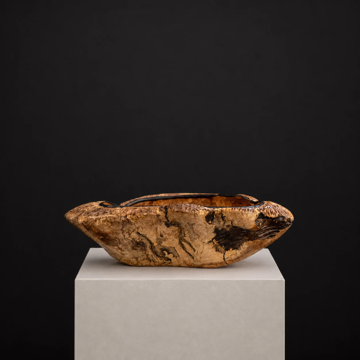 Medium Wild Olive Root Bowl, a one-of-one Wild Olive sculpture by Rodney Band, centred on a warm limestone plinth against a charcoal studio ground.