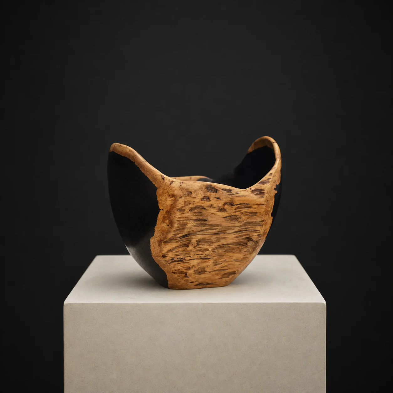 Small Natural-Edged African Blackwood Bowl, a one-of-one African Blackwood sculpture by Rodney Band, centred on a warm limestone plinth against a charcoal studio ground.