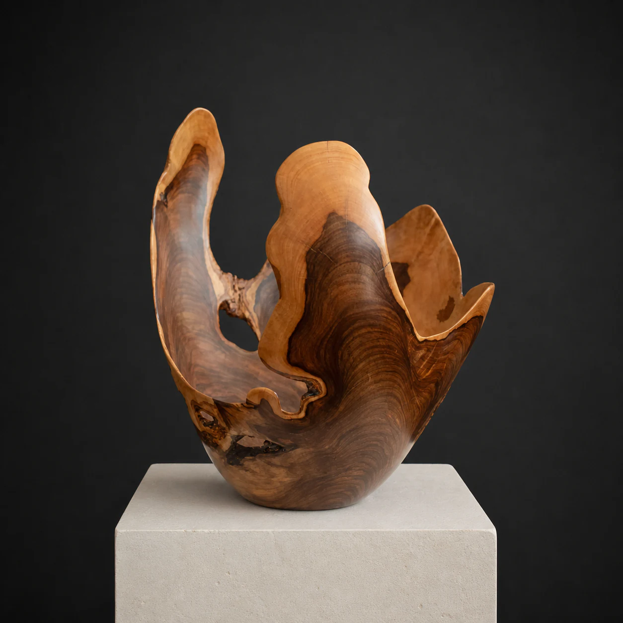 Tall Thin-Turned Wild Olive Bowl, a one-of-one Wild Olive sculpture by Rodney Band, centred on a warm limestone plinth against a charcoal studio ground.