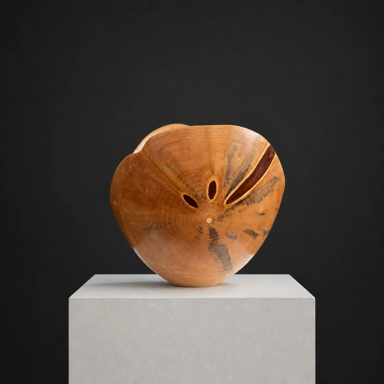 Thin-Turned Norfolk Pine Bowl, a one-of-one Norfolk Pine sculpture by Rodney Band, centred on a warm limestone plinth against a charcoal studio ground.