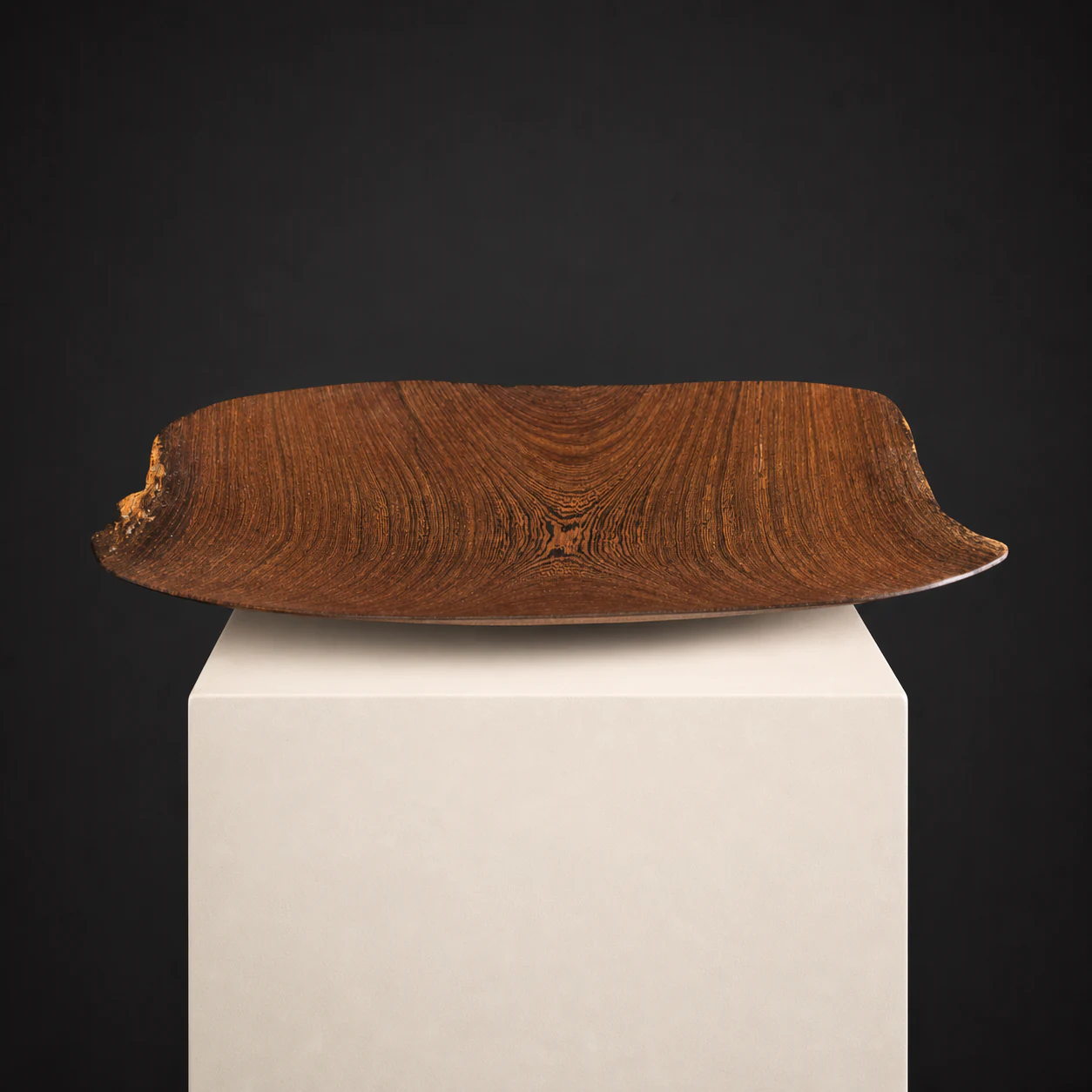 Thin-Turned Panga Panga Platter, a one-of-one Panga Panga sculpture by Rodney Band, centred on a warm limestone plinth against a charcoal studio ground.