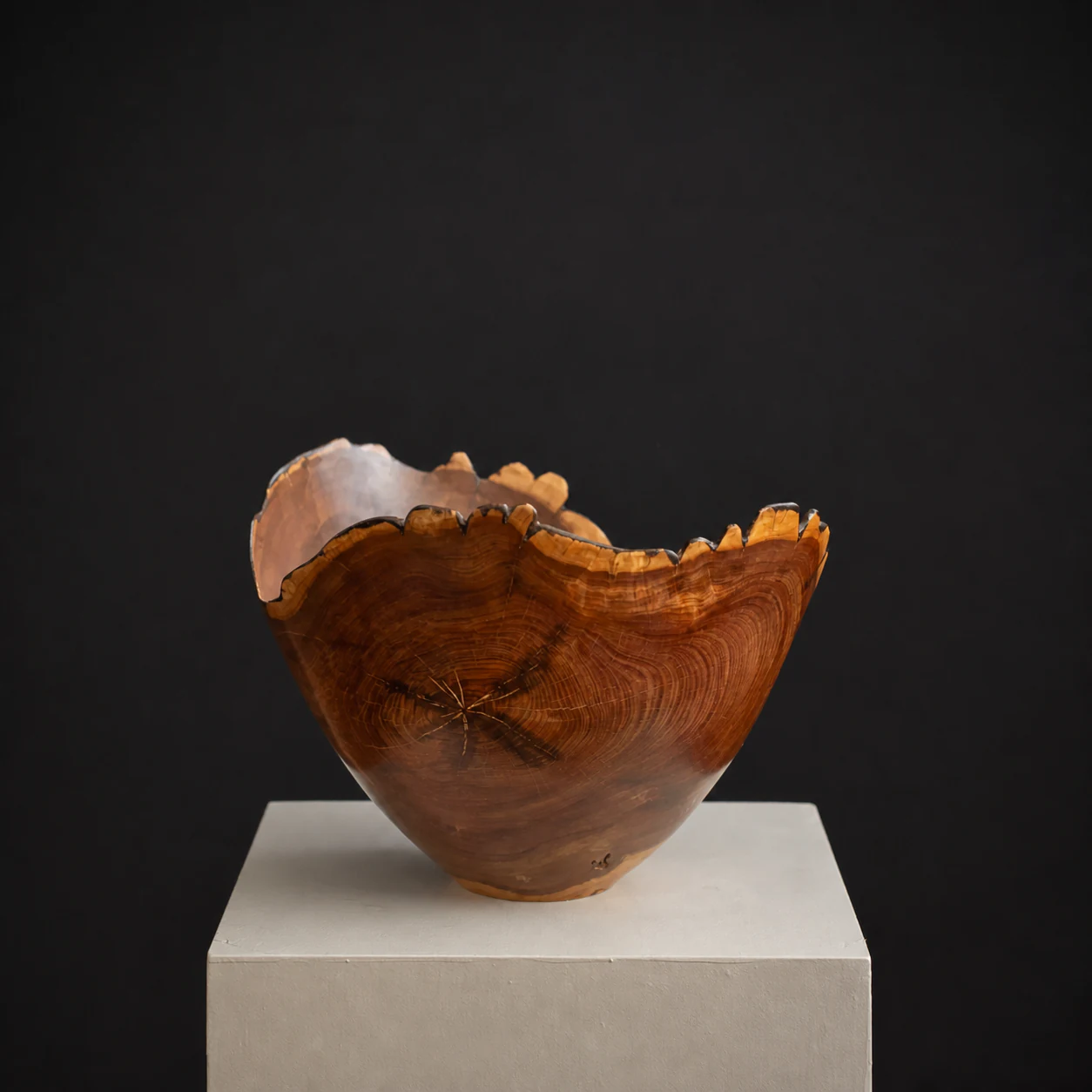 Wild Olive Natural-Edge Bowl, a one-of-one Wild Olive sculpture by Rodney Band, centred on a warm limestone plinth against a charcoal studio ground.