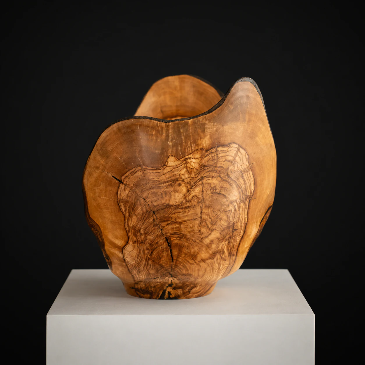 Wild Olive, Semi-Turned with Blackwood Inlay, a one-of-one Wild Olive sculpture by Rodney Band, centred on a warm limestone plinth against a charcoal studio ground.