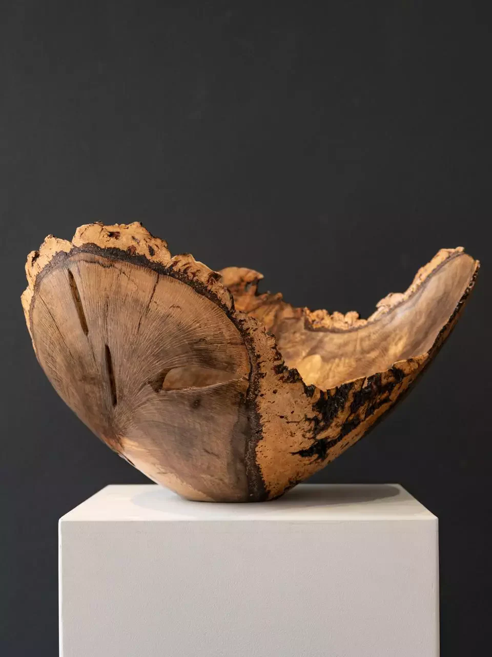 Cork Oak Thin-Turned Natural Edge, view 2.