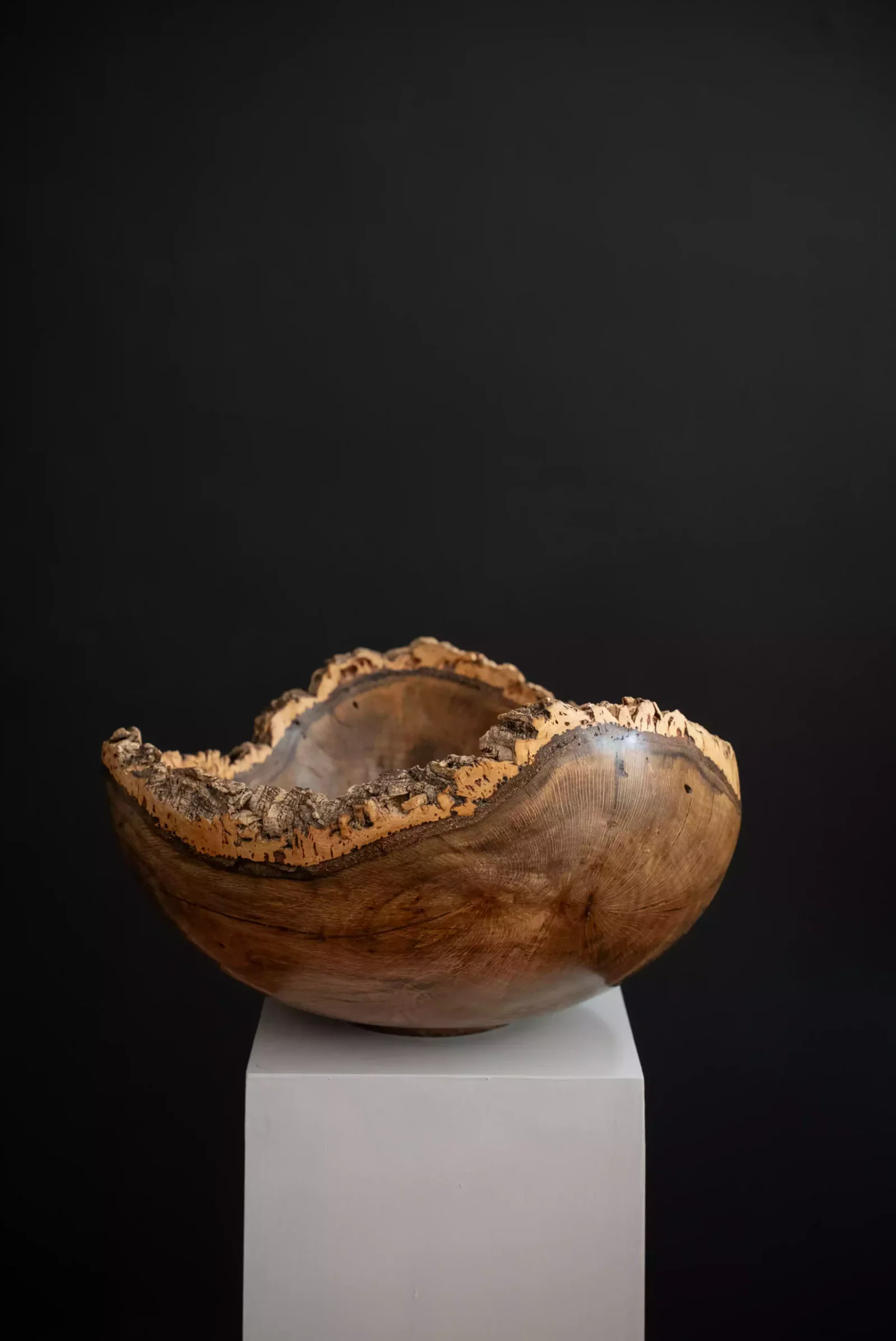 Large Cork Oak Bowl, view 2.