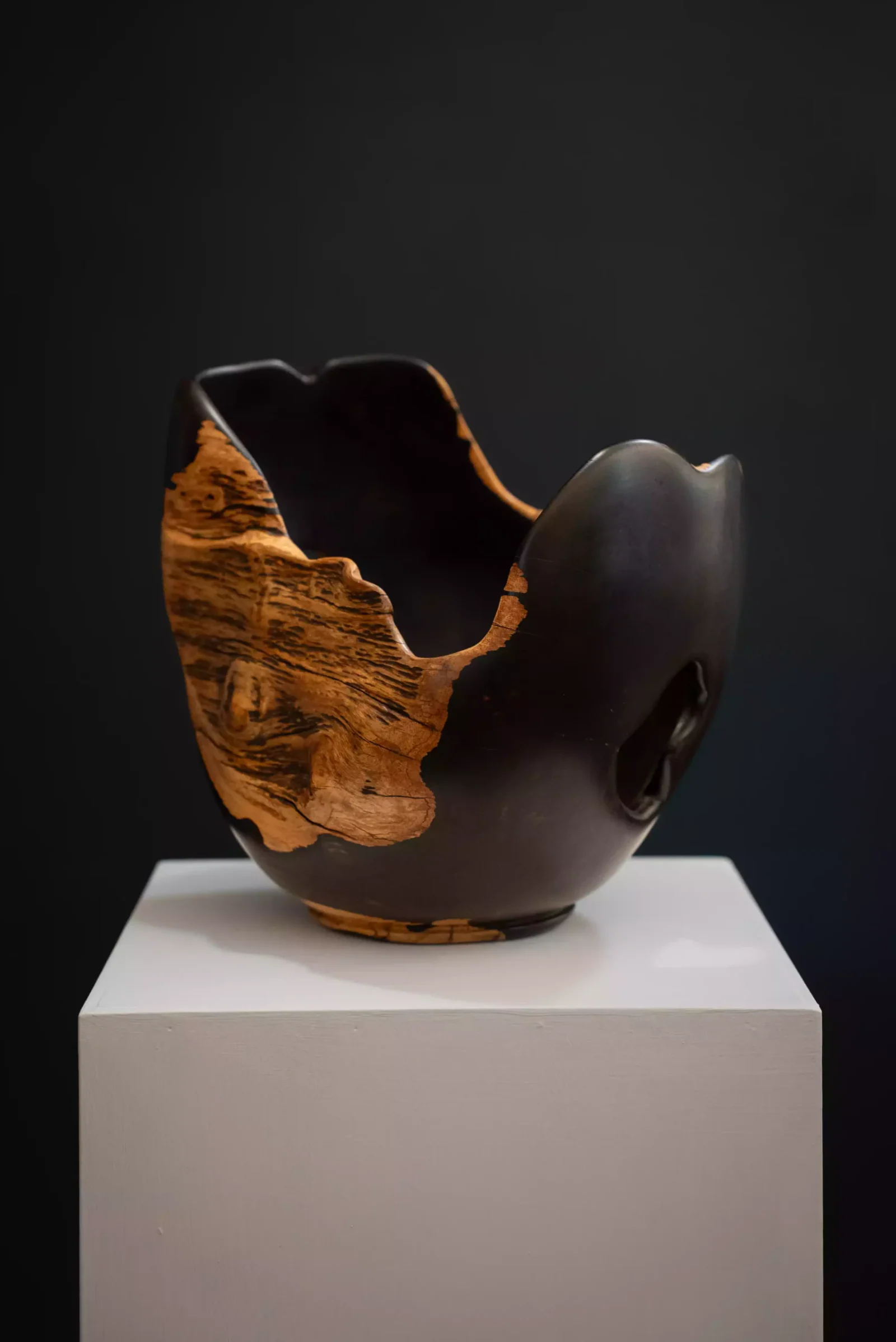 Large Natural-Edged African Blackwood Bowl, view 2.