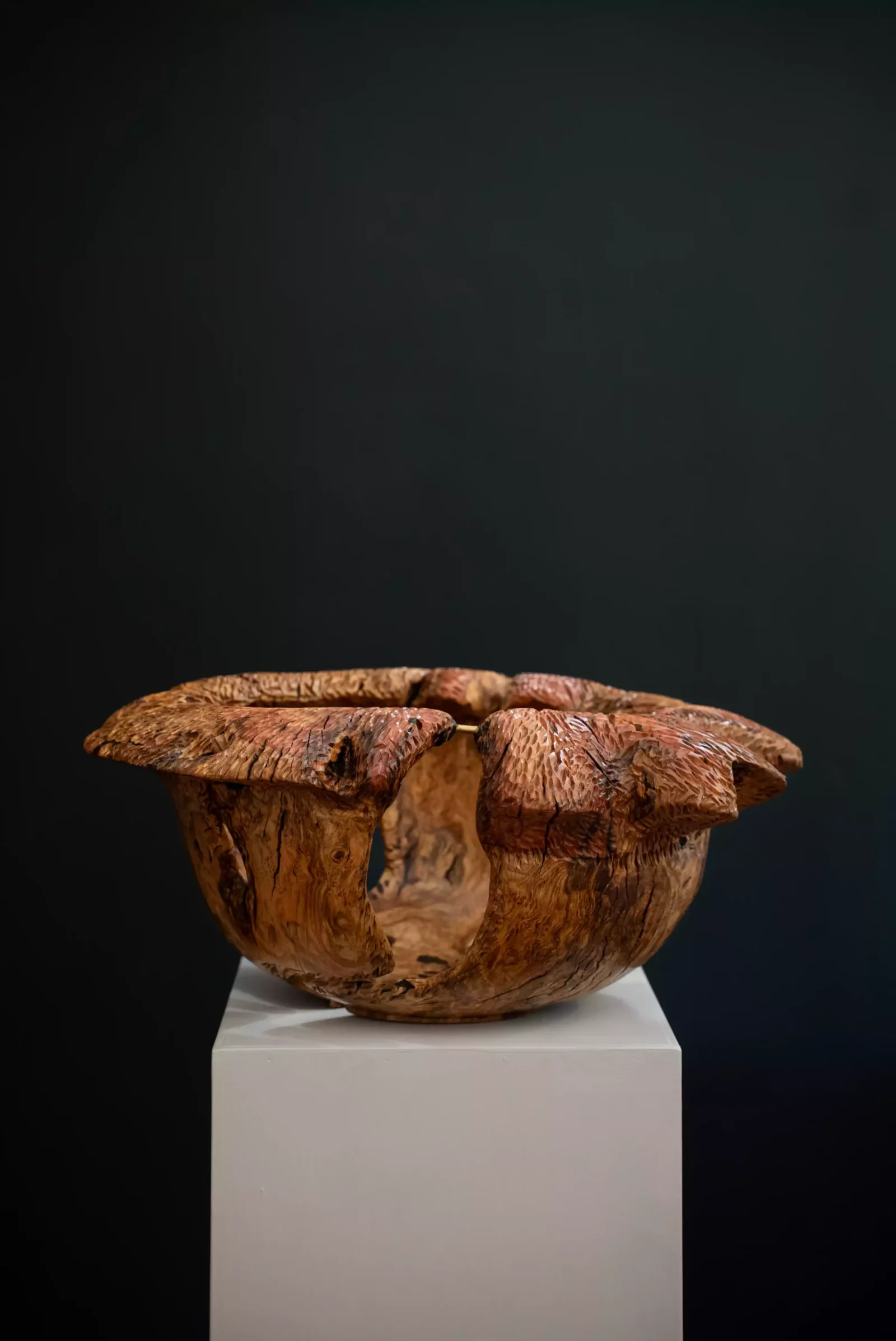 Large Wild Olive Root Bowl, view 2.