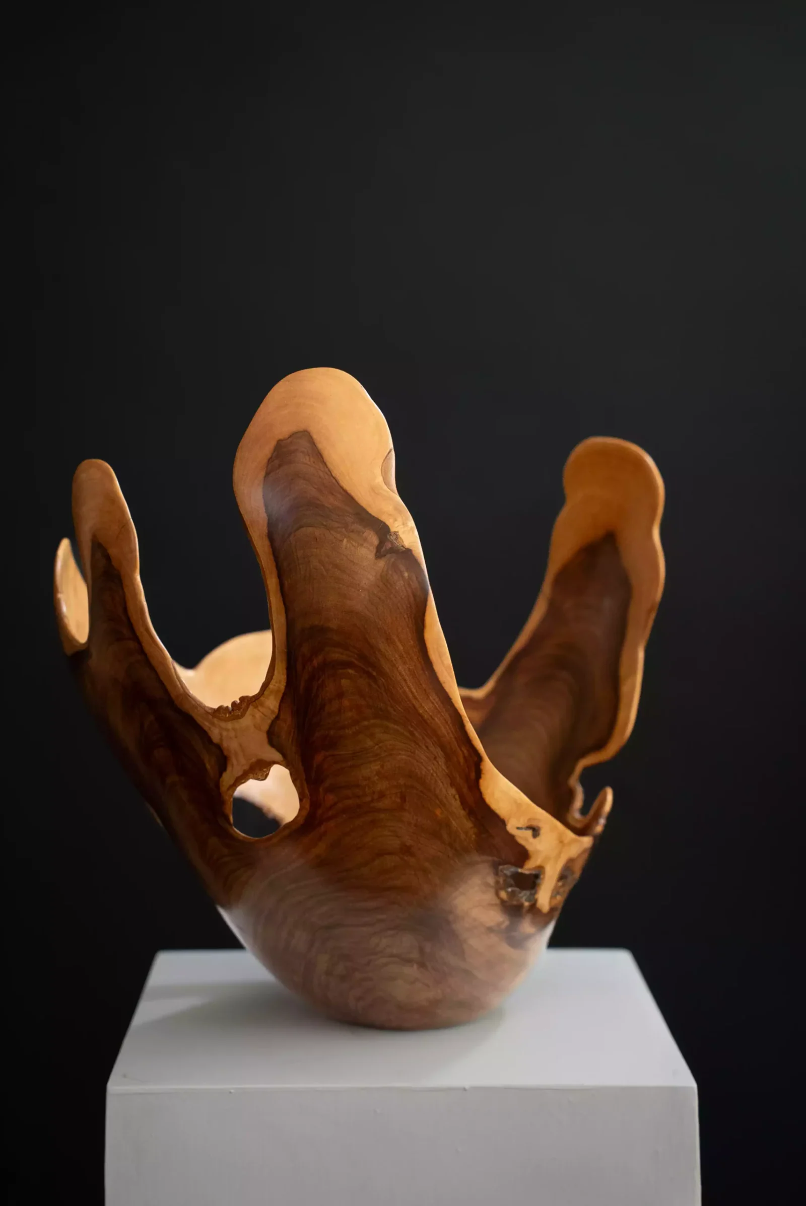 Tall Thin-Turned Wild Olive Bowl, view 2.