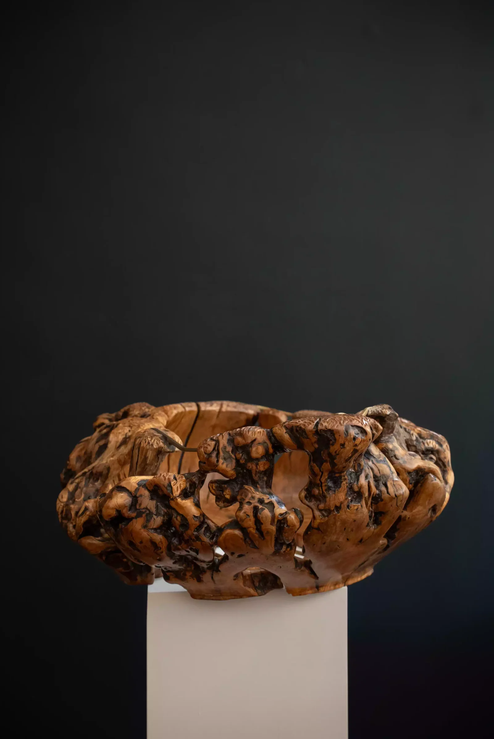 Very Large Wild Olive Root Bowl, view 2.