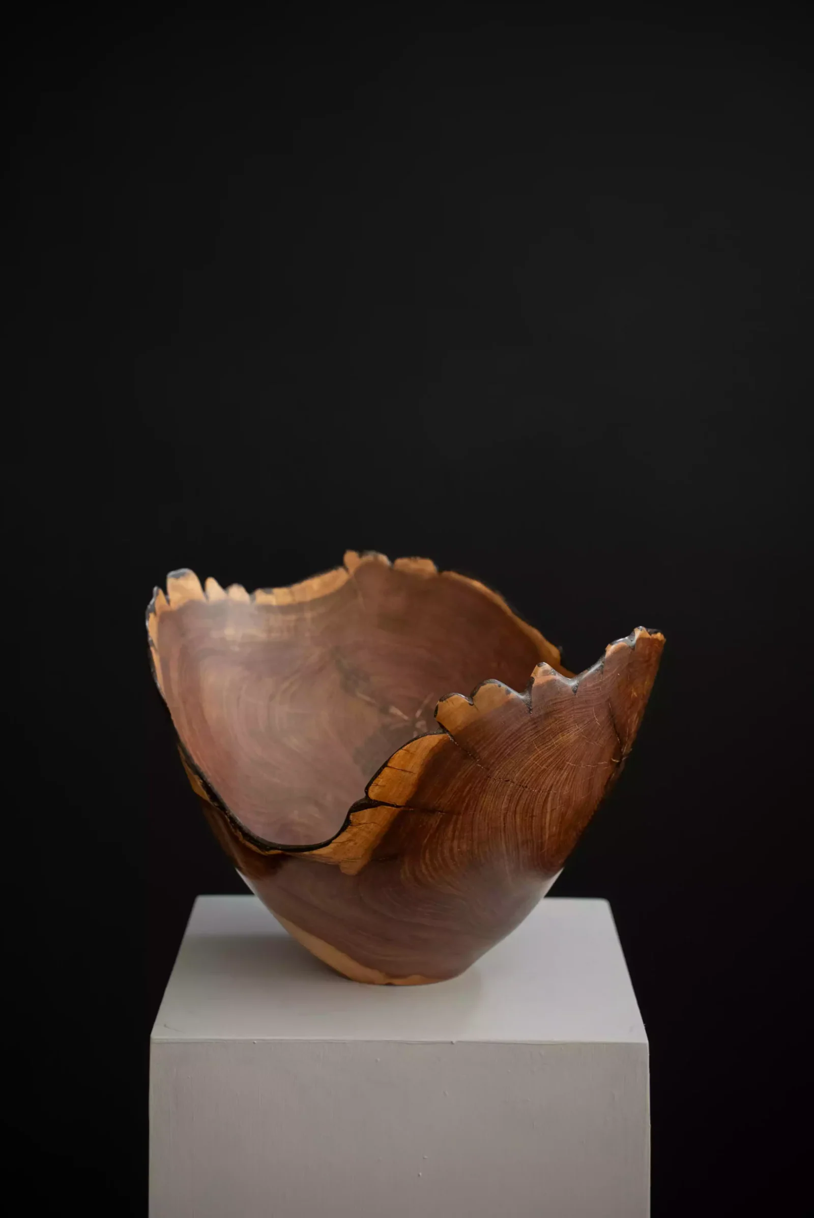Wild Olive Natural-Edge Bowl, view 2.