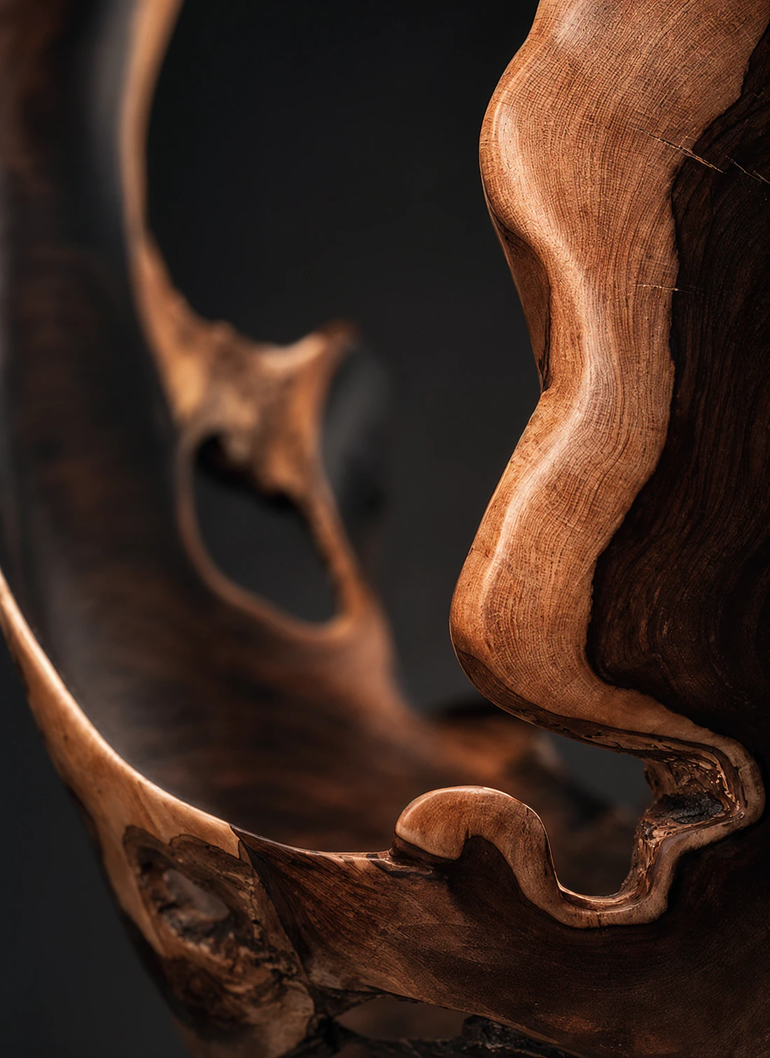 Close view through a sculptural wooden form, showing its flowing rim, grain and hand-finished edge.