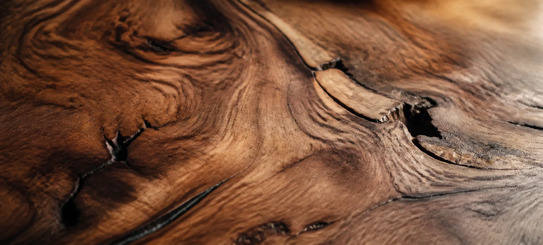 Close view of rare hardwood grain, natural fissures and shifting warm tones.